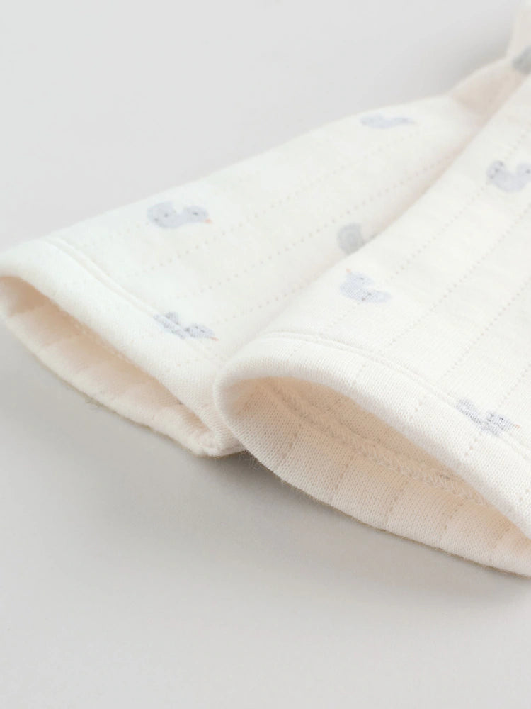 .BORRADOR |BabyBoy| Modelo Modelo Modelo (0 meses a 3 años)