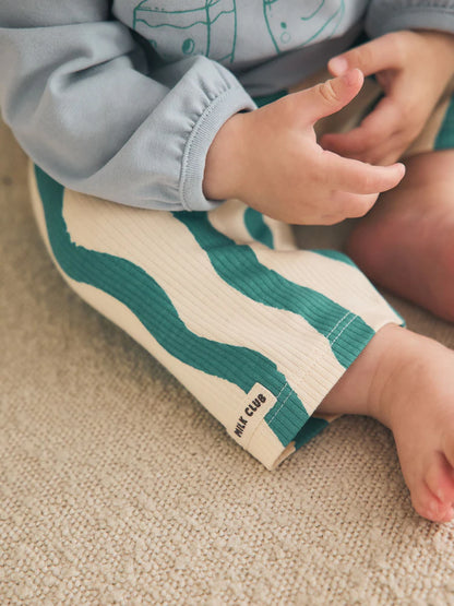 .BORRADOR |BabyBoy| Modelo Modelo Modelo (0 meses a 3 años)