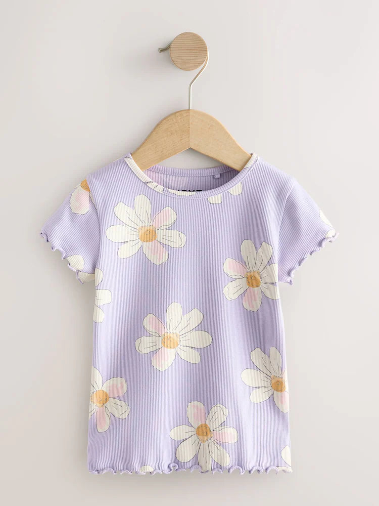 |Girl| Conjunto Com 5 Camisetas Caneladas Neutras De Manga Curta (3 meses a 7 anos)