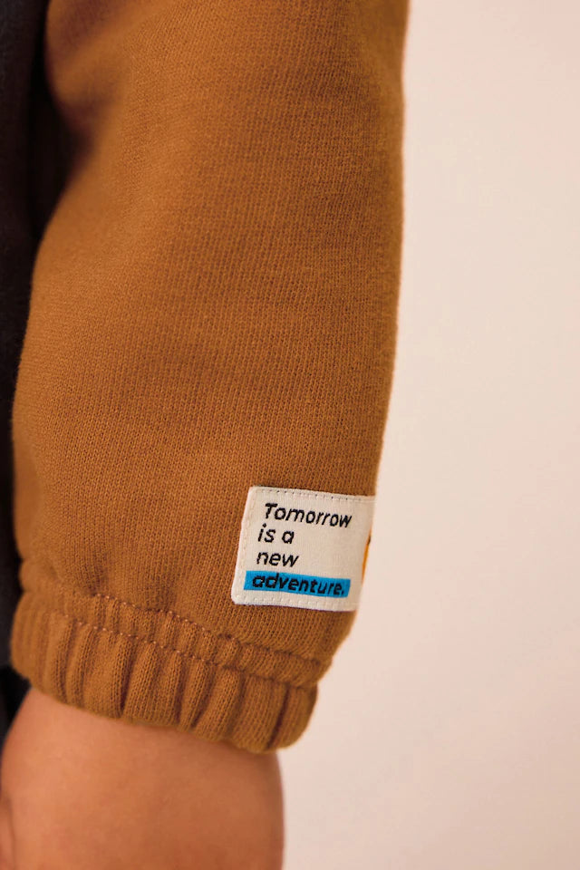 |Boy| Conjunto De Moletom e Joggers Colorblock Marrom Ferrugem (3 meses a 7 anos)