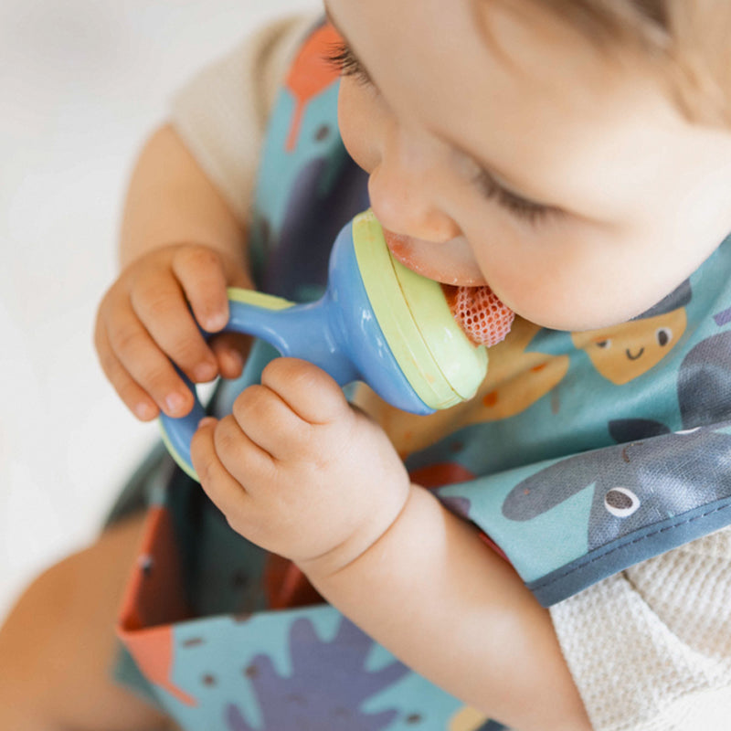 Nuby Alimentador de frutas Baby Nibbler, seguro para introdução alimentar e mordedor.