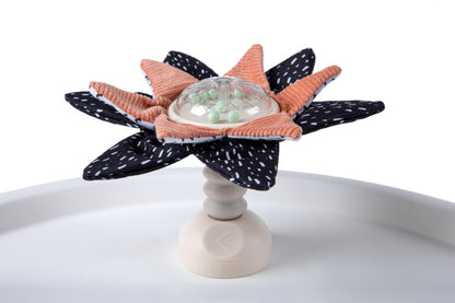 Tiny Love Centro de atividades 5 em 1 Preto e Branco