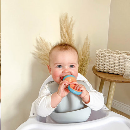 Nuby Alimentador de frutas Baby Nibbler, seguro para introdução alimentar e mordedor.