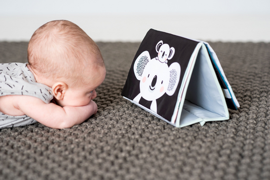 Taf Toys  Kimmy Koala Tummy Time Book