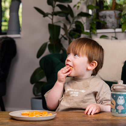 Vital Baby Conjunto de 5 pratos Nourish Perfectly Simple