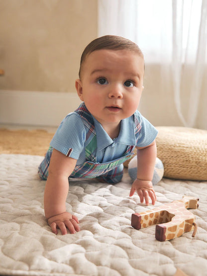 .BORRADOR |BabyBoy| Modelo Modelo Modelo (0 meses a 3 años)