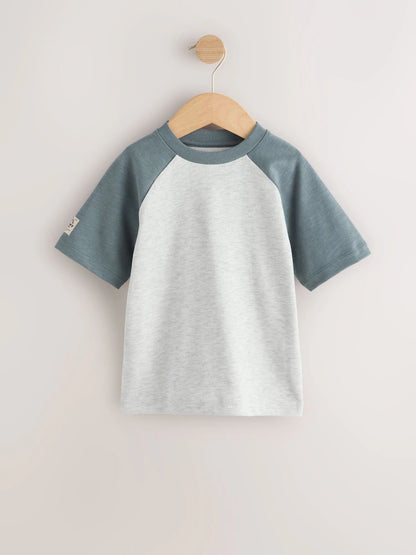 |Boy| Conjunto De 3 Camisetas Raglan Cinza De Manga Comprida (3 meses a 7 anos)