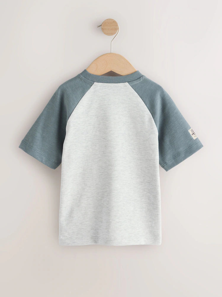 |Boy| Conjunto De 3 Camisetas Raglan Cinza De Manga Comprida (3 meses a 7 anos)