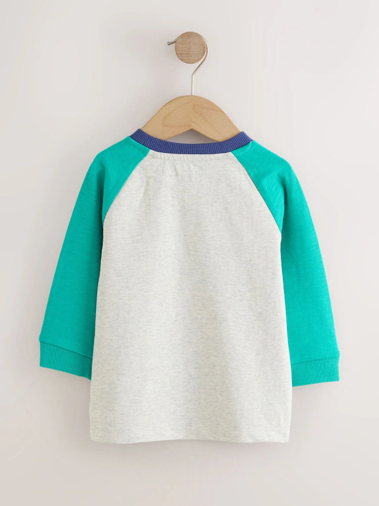 |Boy| Kit com 3 camisetas de manga longa com aplicação de avião e cachorro (cores: vermelho, azul-marinho e verde)