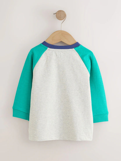 |Boy| Kit com 3 camisetas de manga longa com aplicação de avião e cachorro (cores: vermelho, azul-marinho e verde)