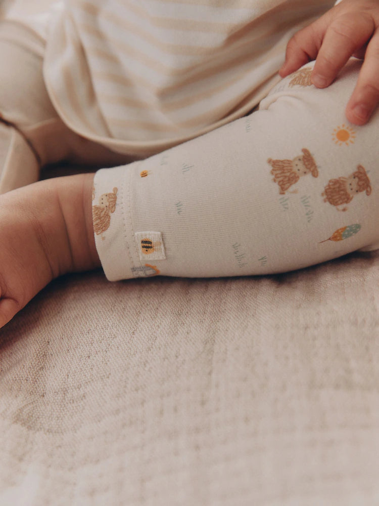 .BORRADOR |BabyBoy| Modelo Modelo Modelo (0 meses a 3 años)
