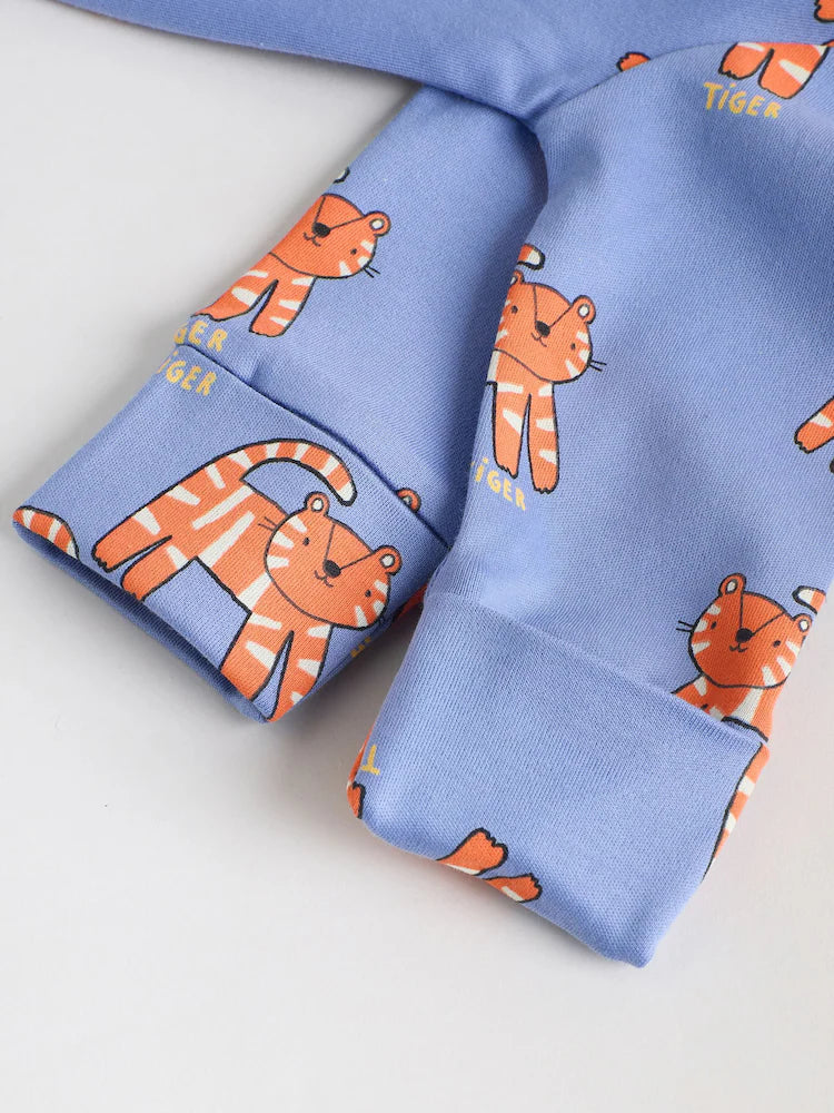 .BORRADOR |BabyBoy| Modelo Modelo Modelo (0 meses a 3 años)