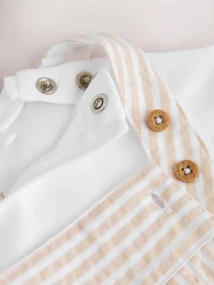 .BORRADOR |BabyBoy| Modelo Modelo Modelo (0 meses a 3 años)