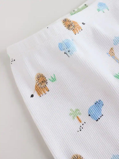 .BORRADOR |BabyBoy| Modelo Modelo Modelo (0 meses a 3 años)