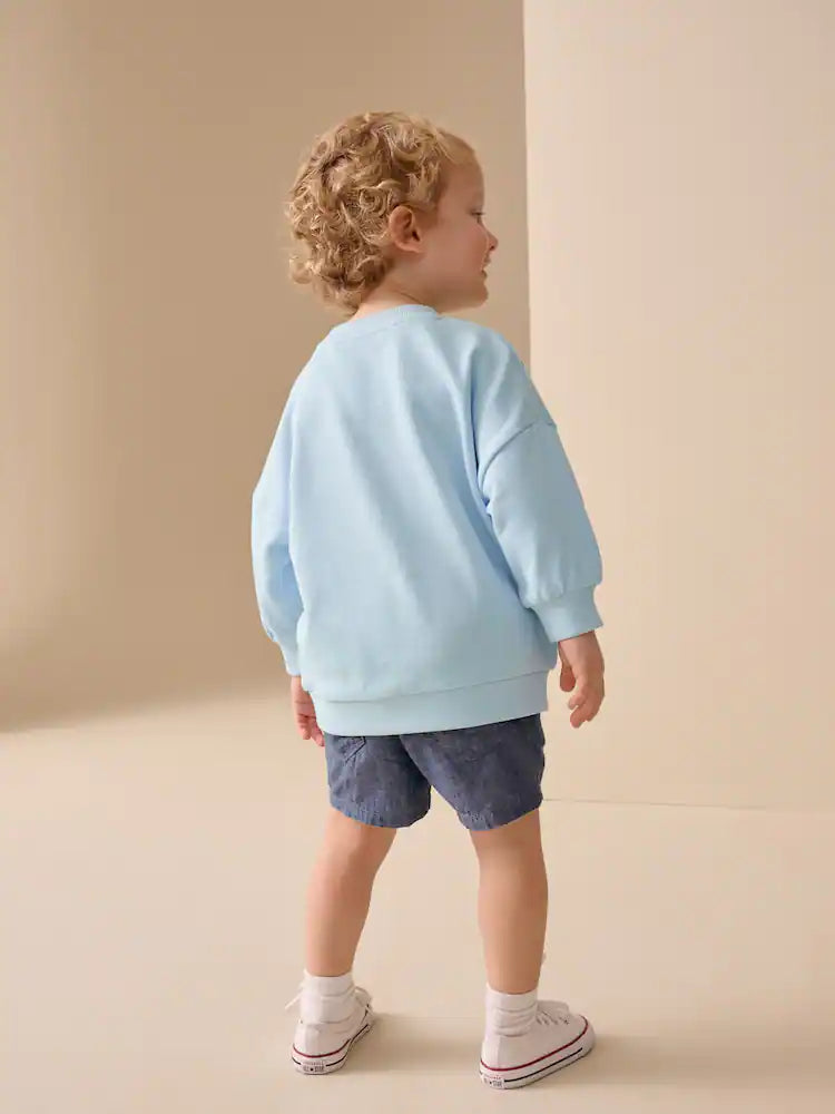 |Boy| Moletom De Gola Redonda Com Estampa De Carro Azul Por Toda a Peça (3 meses a 7 anos)