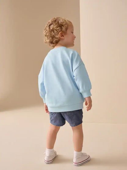 |Boy| Moletom De Gola Redonda Com Estampa De Carro Azul Por Toda a Peça (3 meses a 7 anos)
