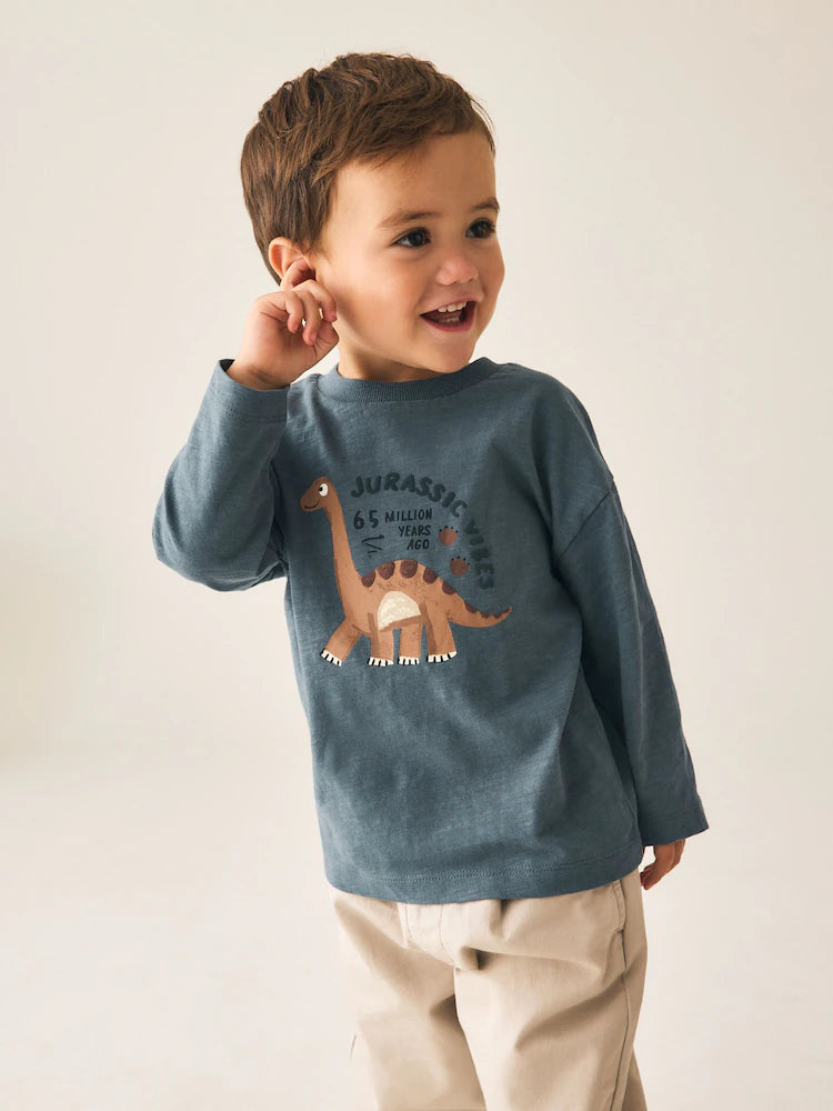 |Boy| Camiseta Cinza de Manga Longa com Estampa de Dinossauro e Vibe Jurássica (3 meses a 7 anos)