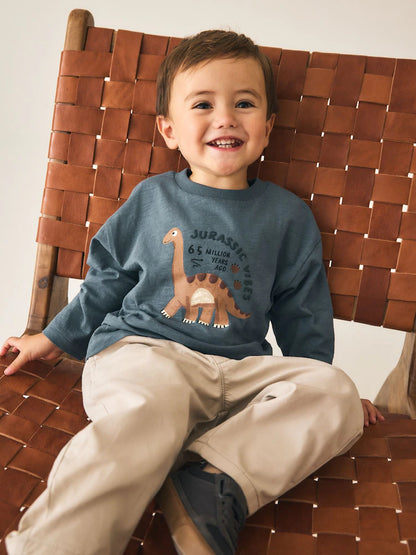 |Boy| Camiseta Cinza de Manga Longa com Estampa de Dinossauro e Vibe Jurássica (3 meses a 7 anos)