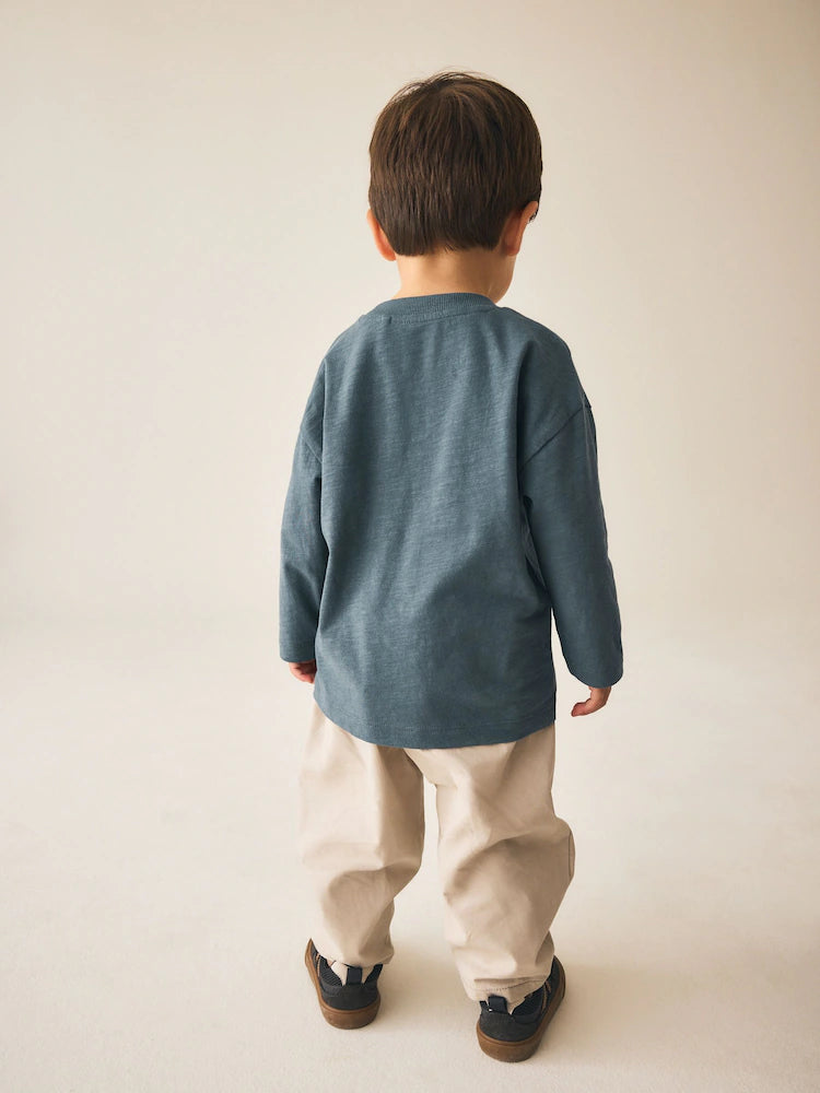 |Boy| Camiseta Cinza de Manga Longa com Estampa de Dinossauro e Vibe Jurássica (3 meses a 7 anos)