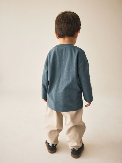 |Boy| Camiseta Cinza de Manga Longa com Estampa de Dinossauro e Vibe Jurássica (3 meses a 7 anos)