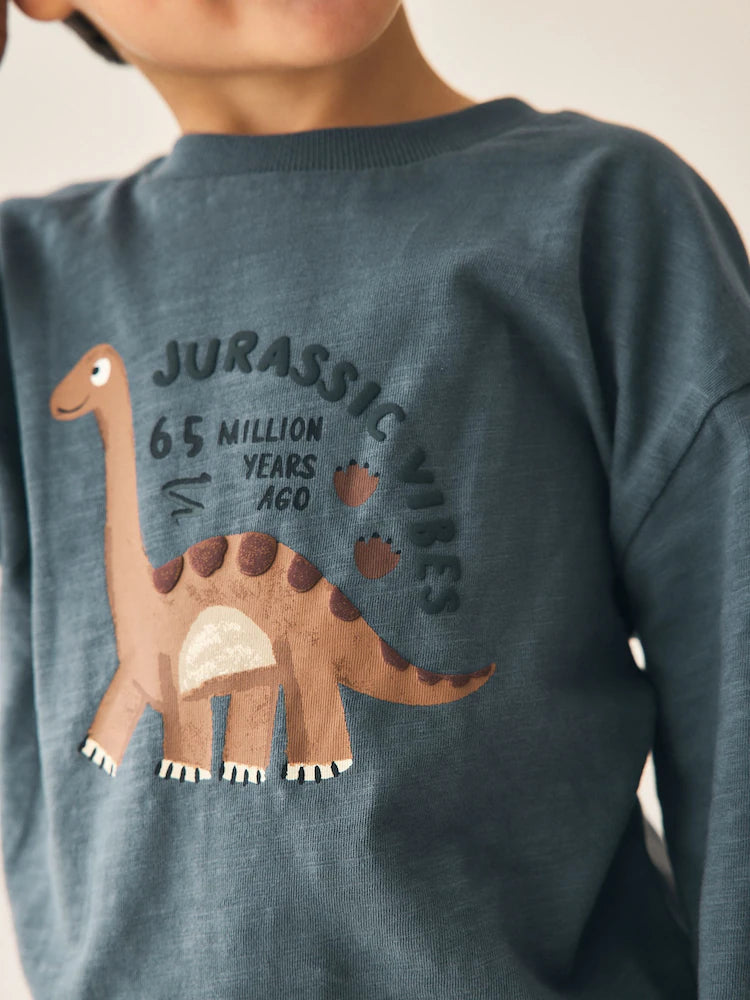 |Boy| Camiseta Cinza de Manga Longa com Estampa de Dinossauro e Vibe Jurássica (3 meses a 7 anos)