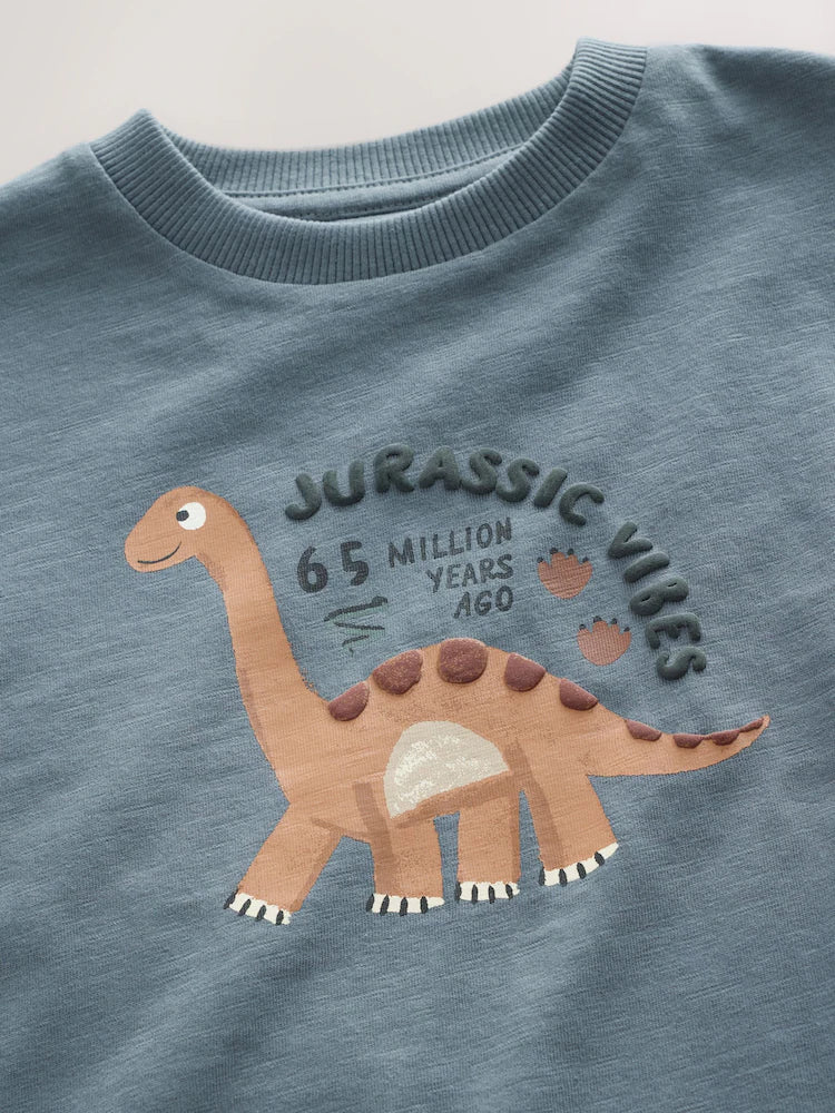 |Boy| Camiseta Cinza de Manga Longa com Estampa de Dinossauro e Vibe Jurássica (3 meses a 7 anos)