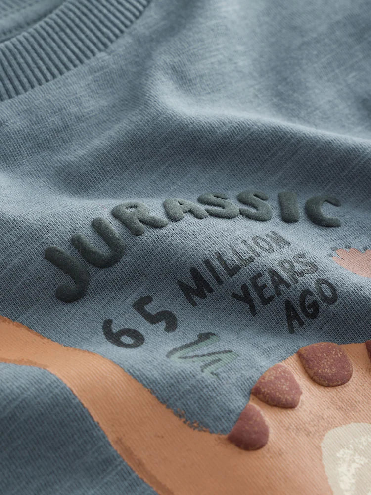 |Boy| Camiseta Cinza de Manga Longa com Estampa de Dinossauro e Vibe Jurássica (3 meses a 7 anos)
