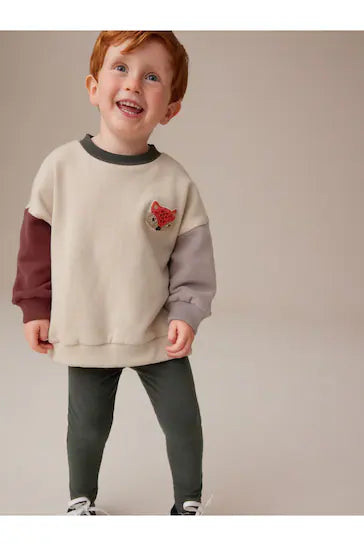 |Boy| Conjunto De Moletom e Leggings Stone Fox Colourblock (3 meses a 7 anos)