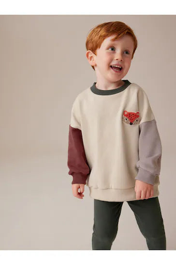 |Boy| Conjunto De Moletom e Leggings Stone Fox Colourblock (3 meses a 7 anos)