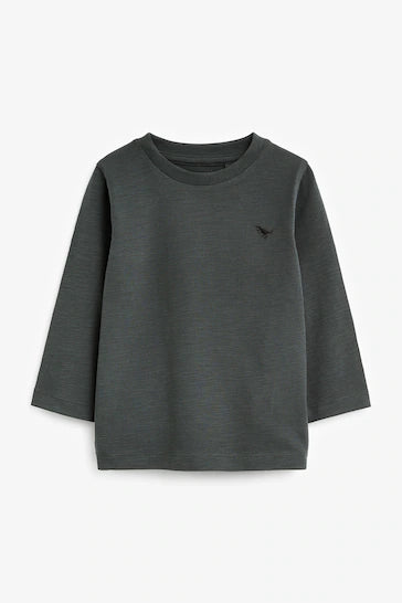 |Boy| Camiseta Lisa De Manga Comprida - Cinza Carvão (3 meses a 7 anos)
