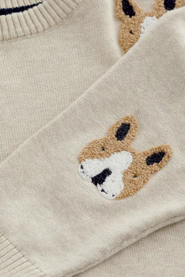 |Boy| Suéter de tricô para cães com caráter neutro (3 meses a 7 anos)