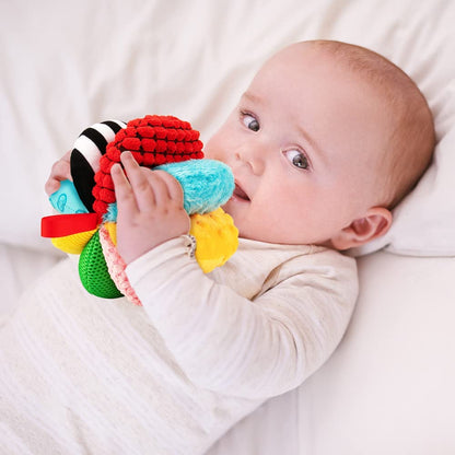 Teytoy - Bolas Sensoriais de Textura para Bebês 8 em 1 - (6 a 12 meses)