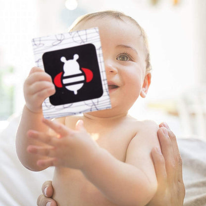 Teytoy - Cartões Sensoriais de Tecido com Animais e Frutas - Preto/Branco - 26 unidades