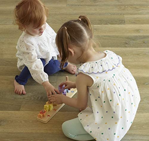 Orange Tree Toys Counting Fish Game