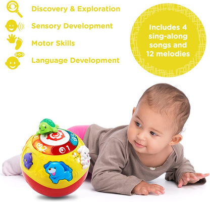 VTech - Crawl & Learn Bola Sensorial Luzes e Sons - (+6 meses)