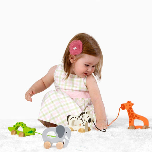 Hape E0908 Elefante Juguete de Empujar y Tirar de Madera