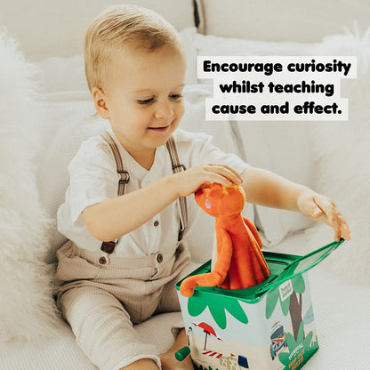 Mizzie - O Canguru Musical