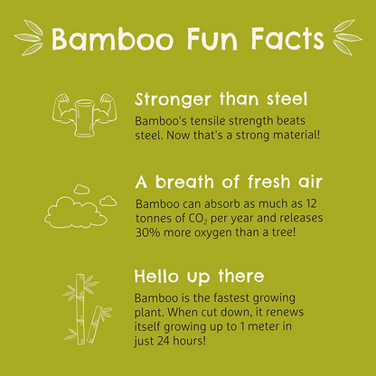 Munchkin Conjunto de Desmame de Bambu – Tigela e prato de sucção de bambu 5oz/ 147ml. Perfeito para Baby Led Weaning