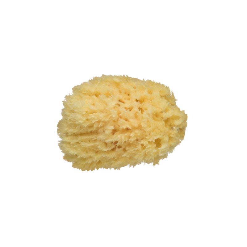 Bébéconfort Natural Esponja