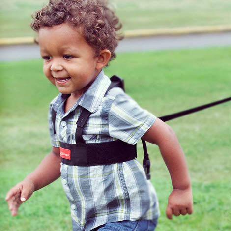 Diono - Cinto segurança