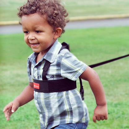 Diono - Cinto segurança