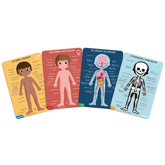 Janod Puzzle Educativo Cuerpo Humano