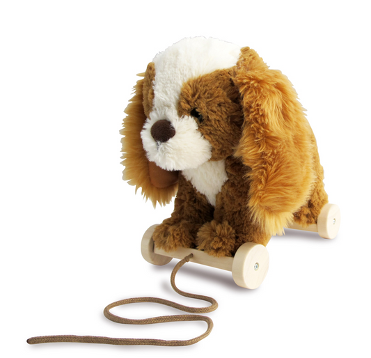 Pajarito me dijo que me llevara con maní