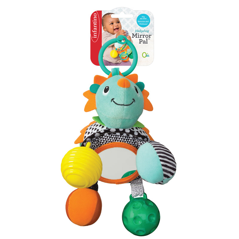 Amigo erizo infantino