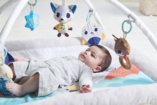 Tiny Love Plush Gymini Polar Wonders