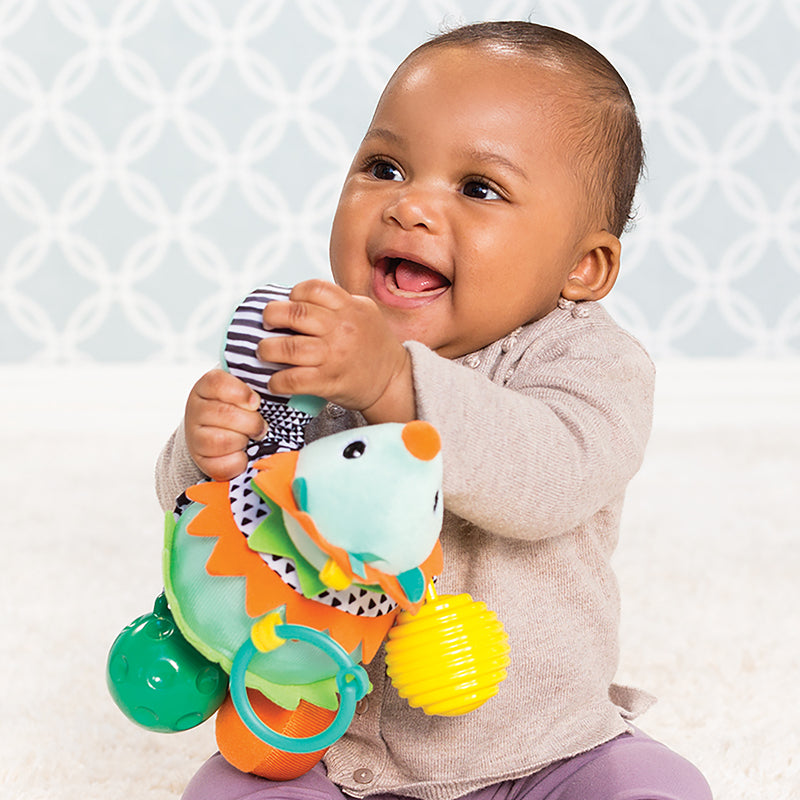 Amigo erizo infantino