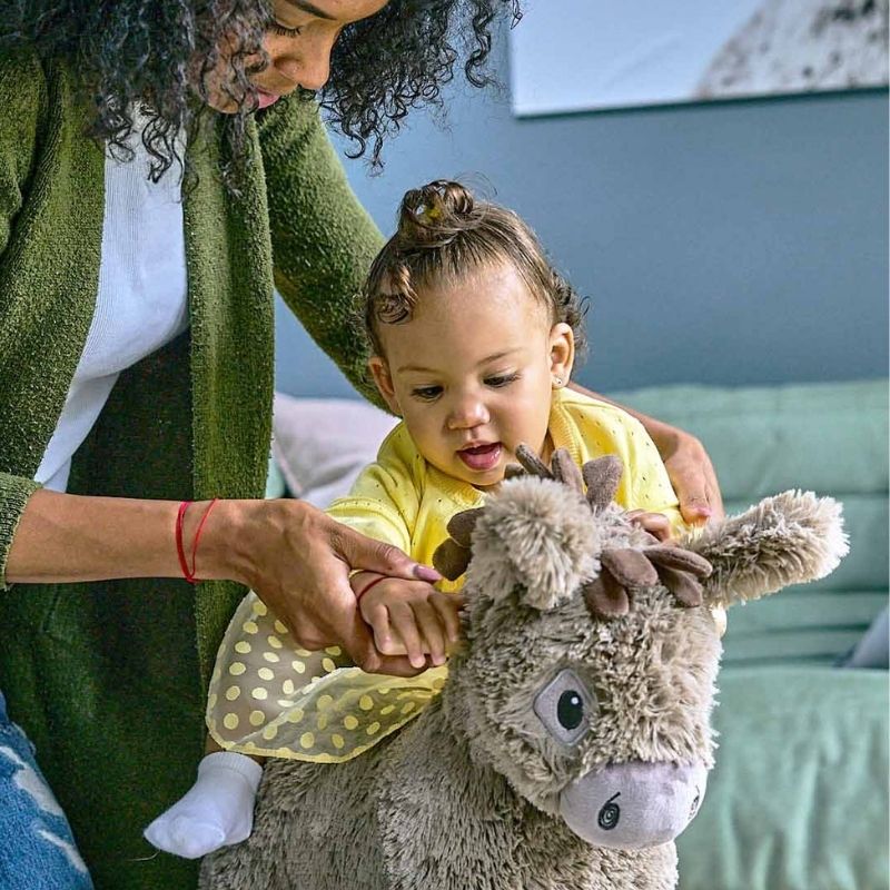 Pajarito Me Dijo Burro Columpio Norbert 9m+