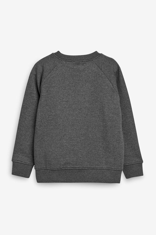 |BigBoy| Suéter Escolar Com Gola Redonda-Charcoal (3-17 anos)