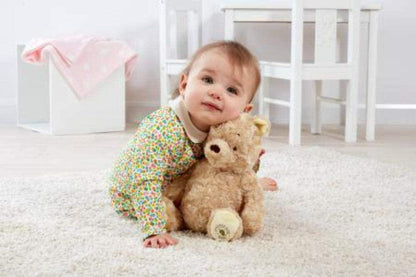 Disney - Brinquedo de Pelúcia Winnie The Pooh 30cm Anne Claire Baby Store 
