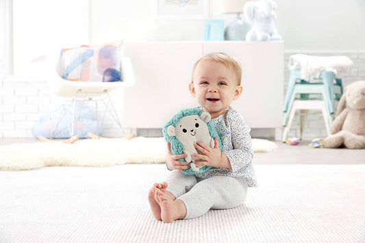 Fisher-Price - Bedtime Hedgehog Soother Brinquedo Anne Claire Baby Store Ltd. 